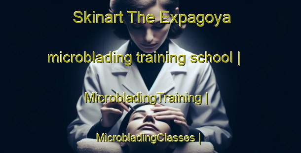 Skinart The Expagoya microblading training school | MicrobladingTraining | MicrobladingClasses | SkinartTraining-Mexico